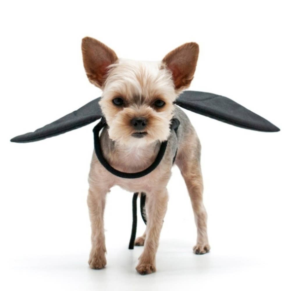 Dogo Pet Wings - Bat