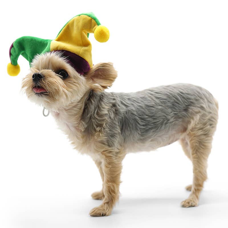 Dogo Pet Hat - Joker