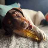 Wag & Bright Supply Co. Mighty Marrows Collagen Bacon Dental Chew for Dogs