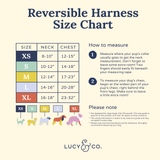 Lucy & Co. Howdy, Honey Reversible Harness