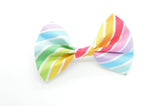 Dog Collar World Rainbow Stripe Bow Tie