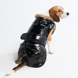 Spark Paws Slip-on Insulated Jacket