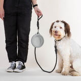 Cleverpup Nomad Collapsible Dog Bowl