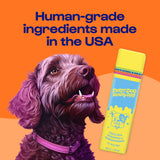 Dirty Dog Beauty Club Disco Dog Shampoo + Conditioner