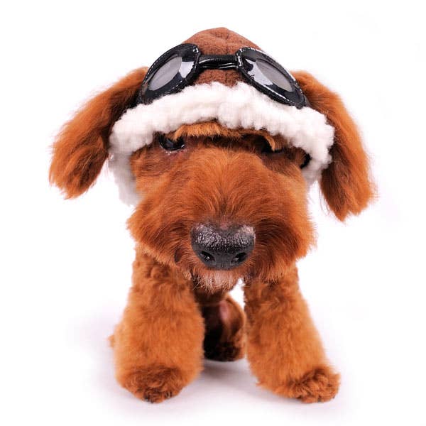 Dogo Pet Hat - Aviator