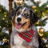 The Foggy Dog - Tartan Plaid Flannel Holiday Dog Bandana