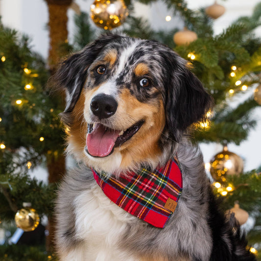 The Foggy Dog - Tartan Plaid Flannel Holiday Dog Bandana