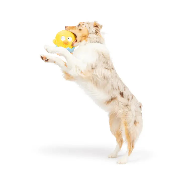 Huxley & Kent Chick-A-Dee Dog Toy