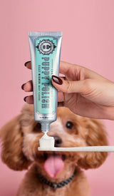 Wag & Bright Supply Co. Puppy Polish Toothpaste