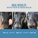 Natural Rapport The Only Paw & Nose Balm Dogs Need