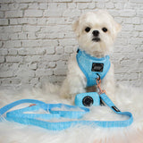 SASSY WOOF Blumond Dog Adjustable Harness