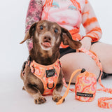 SASSY WOOF Summer Sorbet Treat Pouch