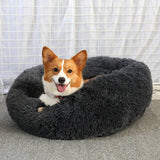 PAWPAW Fluffy Donut Pet Bed