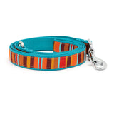 The Worthy Dog Fall Fiesta Stripe Lead