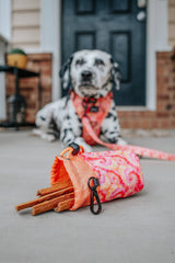 SASSY WOOF Summer Sorbet Treat Pouch