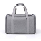 PAWPAW Collapsible Pet Travel Tote