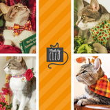 Made By Cleo - "Pumpkin Patch - Teal" - Fall Bandana for Cats + Small Dogs
