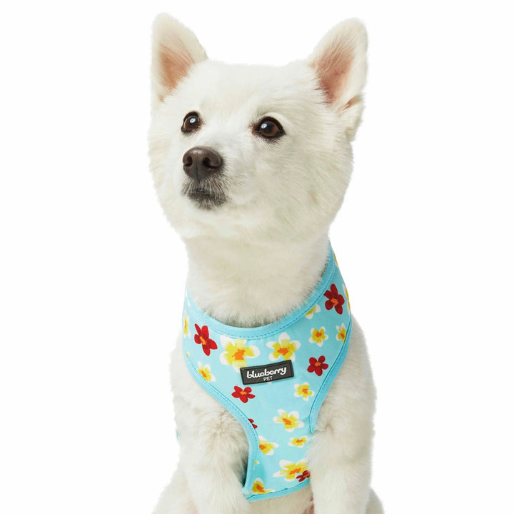 Blueberry Pet - 2 Colors, Tropical Yellow Plumeria Flower Dog Harness Vest
