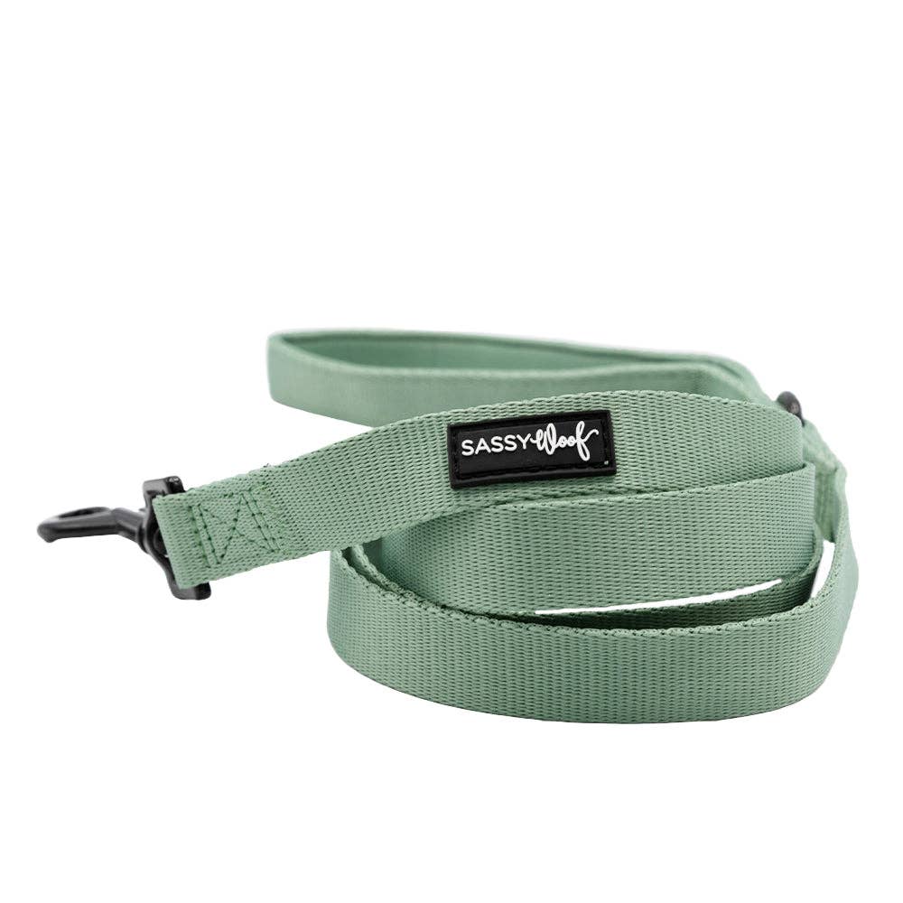 SASSY WOOF Sage Dog Leash