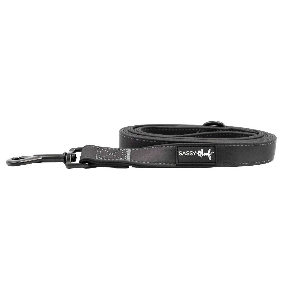 SASSY WOOF Reflection (Reflective) Dog Leash