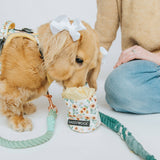 SASSY WOOF Sunflower Dreams Treat Pouch