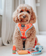 SASSY WOOF One Hot Pupperoni Dog Waste Bag Holder