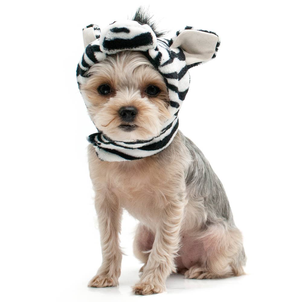Dogo Pet Hat - Zebra