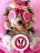 Warren London Dog Products Hydrating Butter Balm for Nose & Paws 4oz