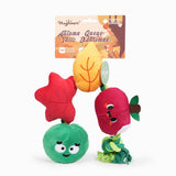 HugSmart Pet Autumn TailzApple and Worm Rope Dog Toy