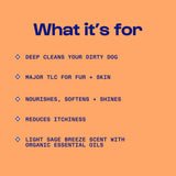 Dirty Dog Beauty Club Disco Dog Shampoo + Conditioner