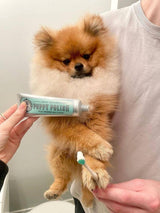 Wag & Bright Supply Co. Puppy Polish Toothpaste