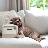 Cleverpup Bistro Box Dog Food Travel Kit