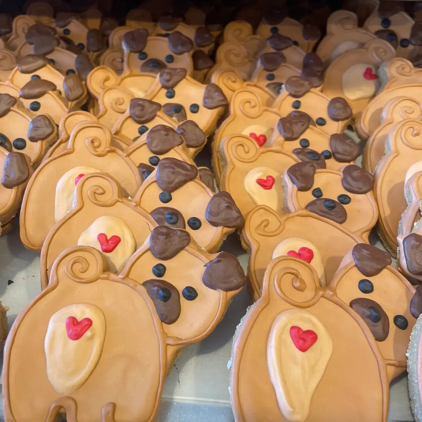 Lucky Biscuit Pet Bakery Pug Butt