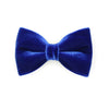 Made By Cleo - "Velvet - Sapphire Blue" - Bow Tie for Cats + Small Dogs