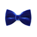 Made By Cleo - "Velvet - Sapphire Blue" - Bow Tie for Cats + Small Dogs