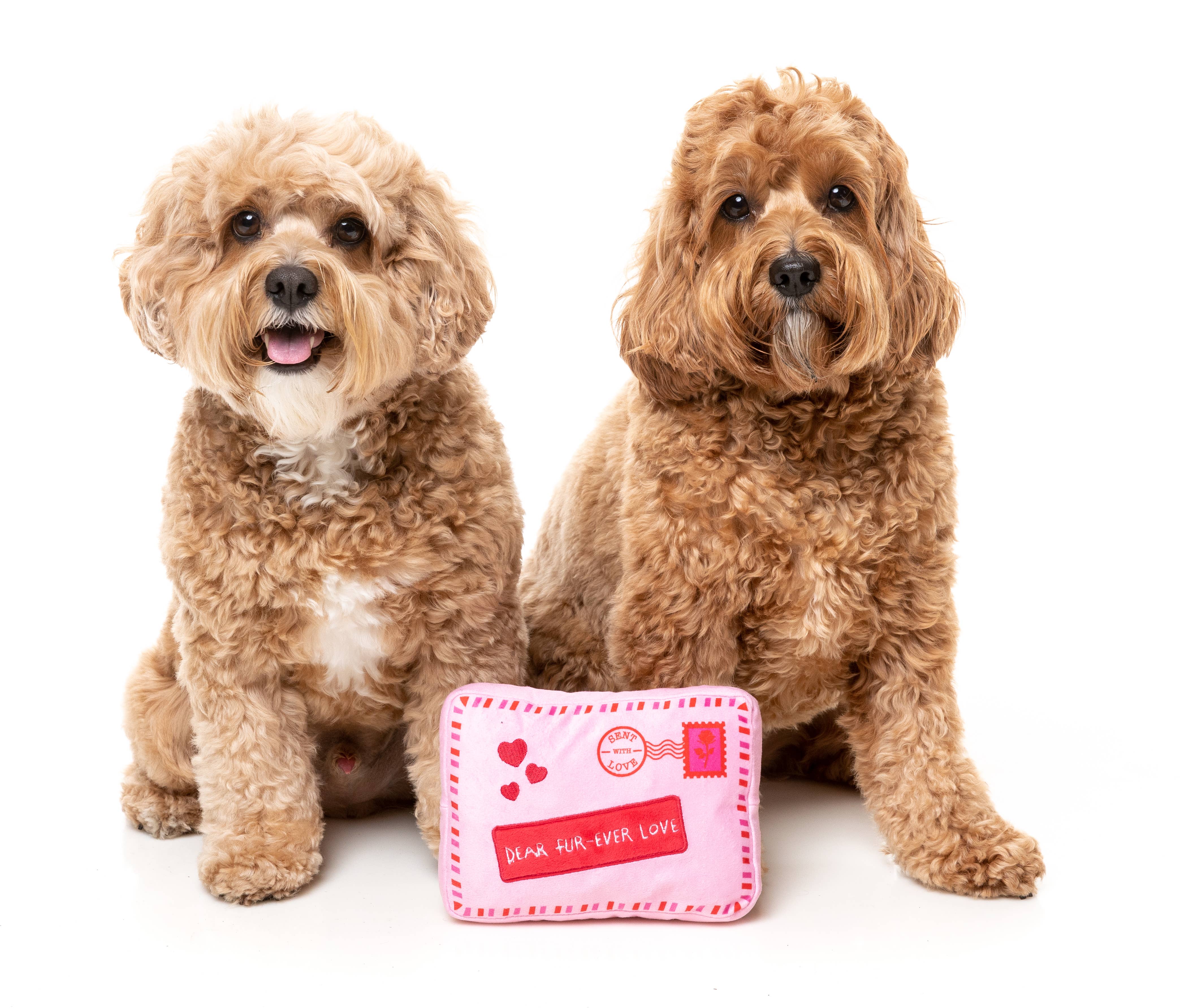 Pet Palette Distribution - FuzzYard Dog Toy - Love Letter