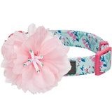 Blueberry Pet Detachable Pink Peony on Floral Dog Collar