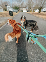 SASSY WOOF Blue Dog Waterproof Leash