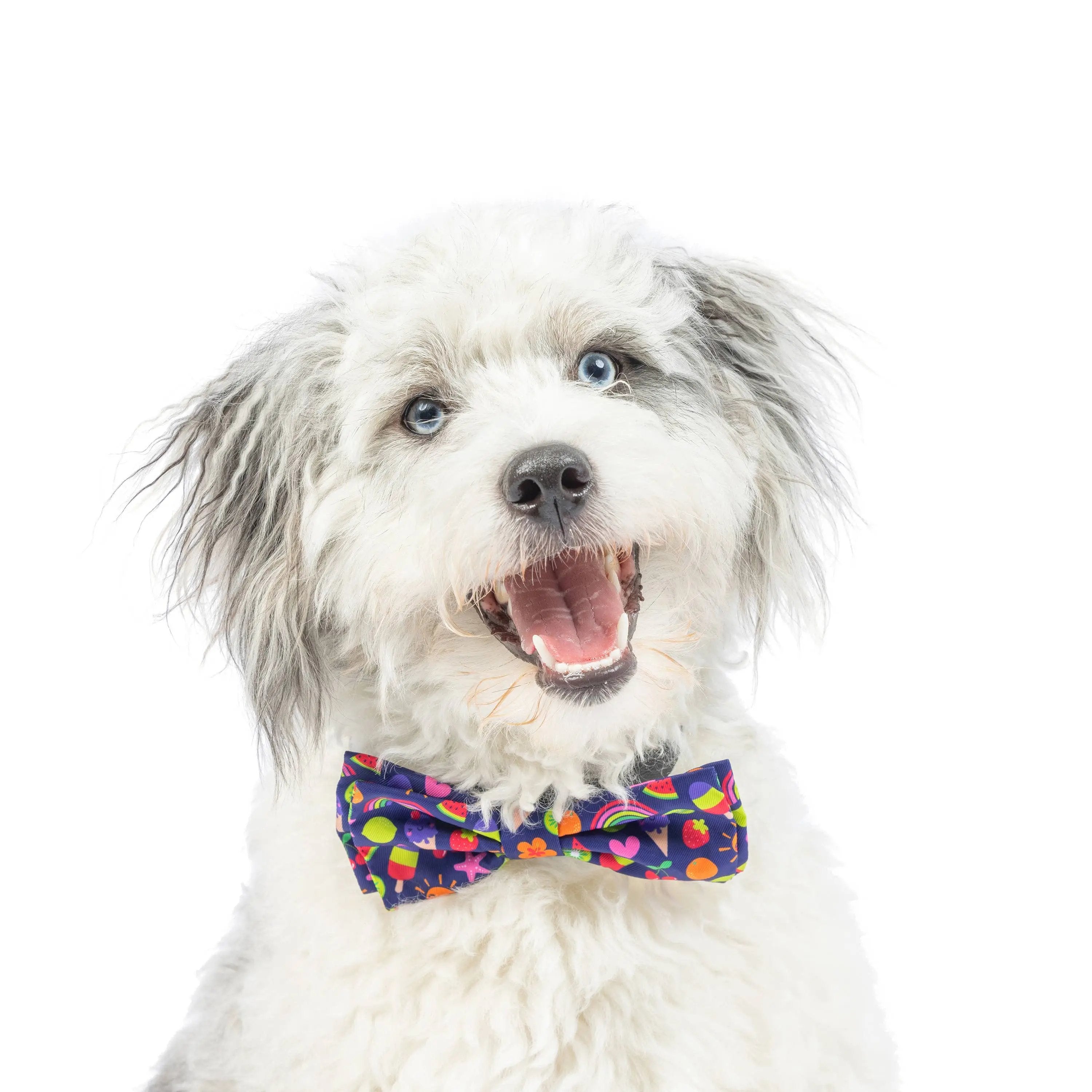 Huxley & Kent Summer Icons Bow Tie