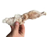 Palz&Co Rabbitdog Rabbit Ears Furry