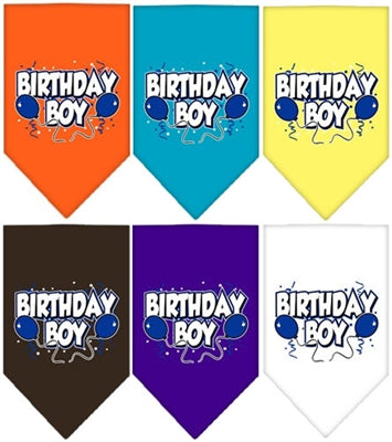 Mirage Pet Products Birthday Boy Screen Print Bandana