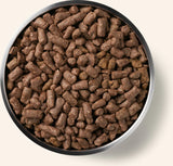 Vital Essentials Raw Freeze-Dried Crunchy Mini Nibs Beef Entree for Dogs