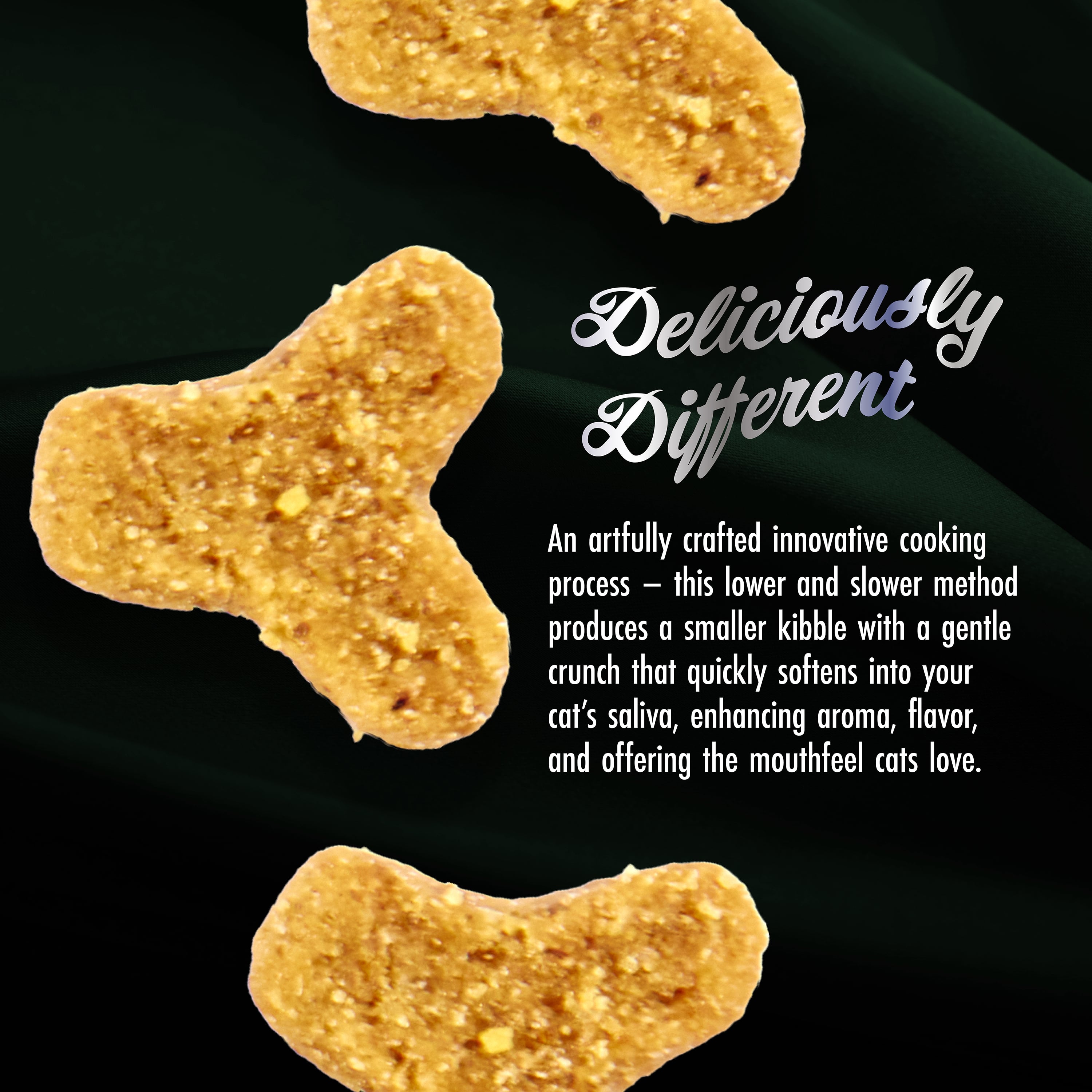 Fromm PurrSnickitty Salmon Splendor Dry Cat Food