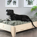 Molly Mutt lift elevated dog bed frame
