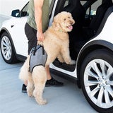 ZippyPaws Adventure Support Lift Harness - Paw Naturals