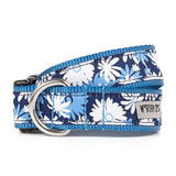 The Worthy Dog Flower Power Collection Collars