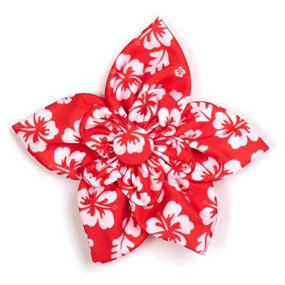 The Worthy Dog Aloha Coral Collection Flower