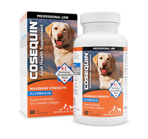 Nutramax Cosequin DS Maximum Strength Plus MSM & Omega-3's Chewable Tablets, Count of 60