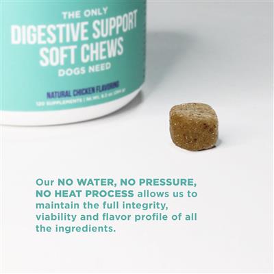 Natural Rapport Digestive Support Soft Chews - Paw Naturals