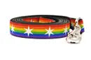 Six Point Pet Chicago Stars Collar & Leash in Rainbow Pride Small - Paw Naturals
